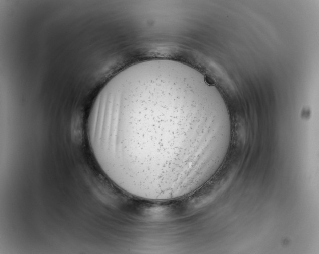 X0000102510312200808221823