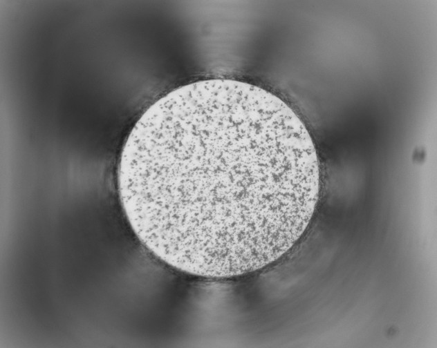 X0000102510313200808221823