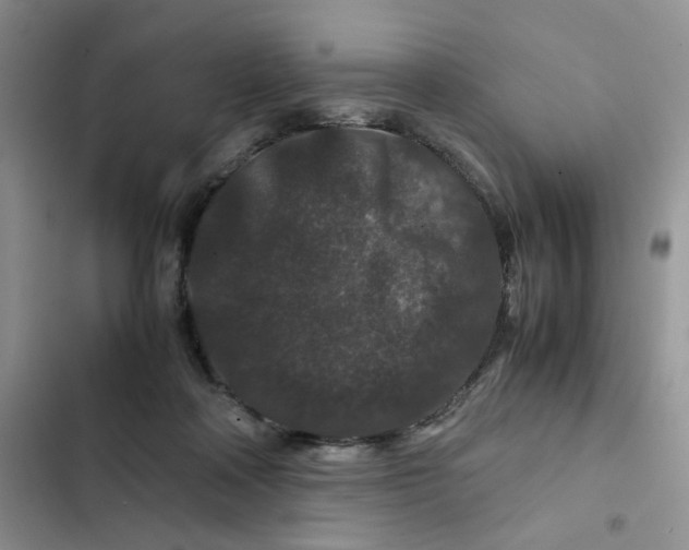 X0000102510314200808221823