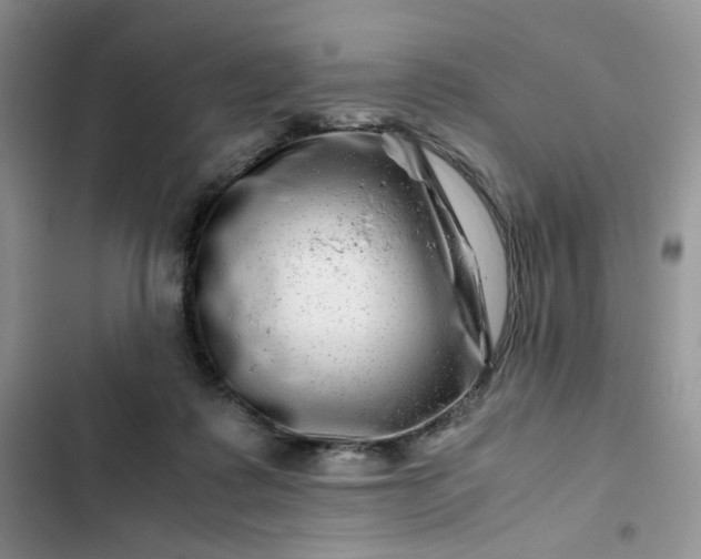 X0000102510315200808221823