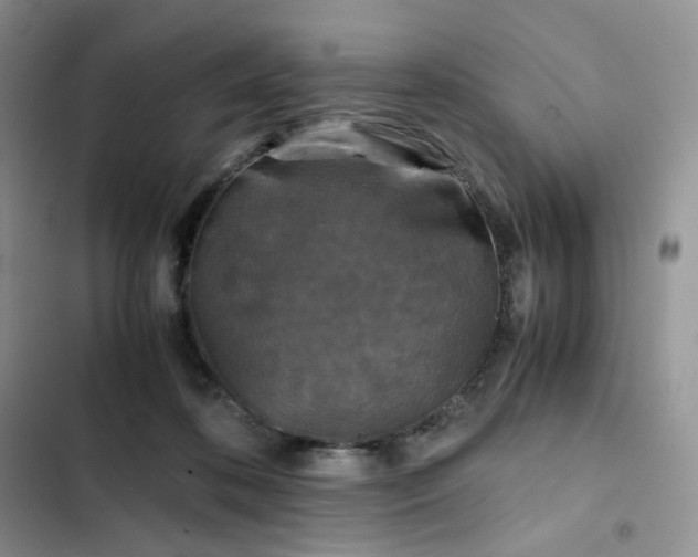 X0000102510316200808221823