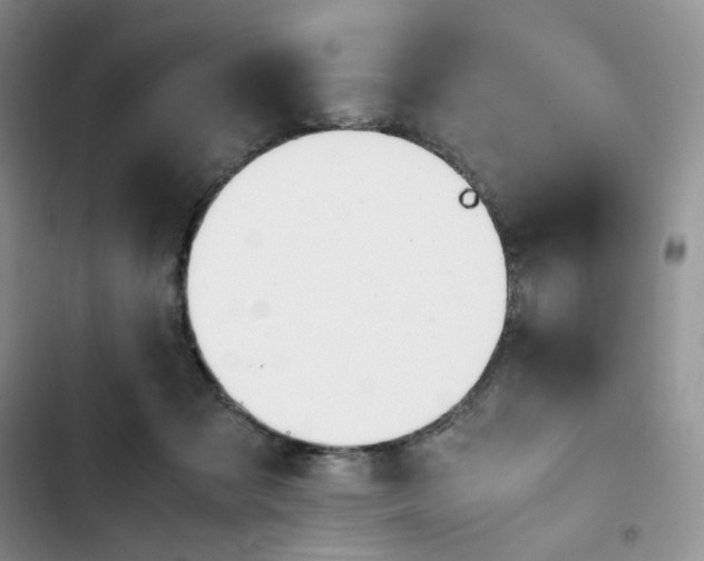 X0000102510317200808221823