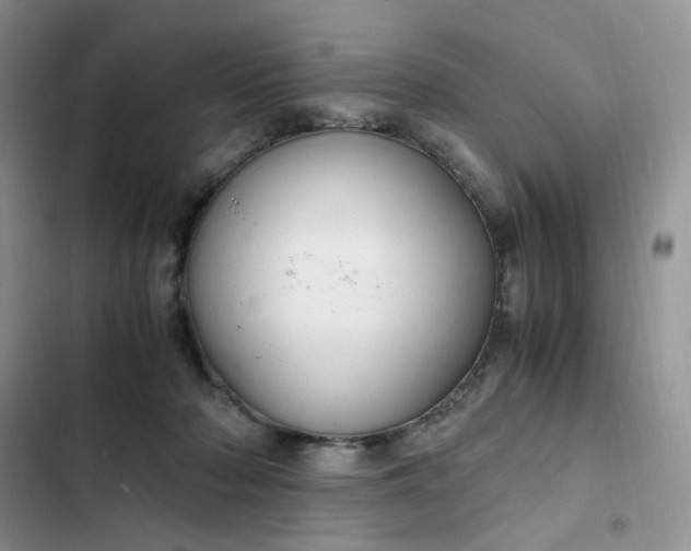 X0000102510318200808221823