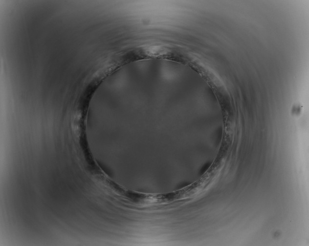X0000102510319200808221823