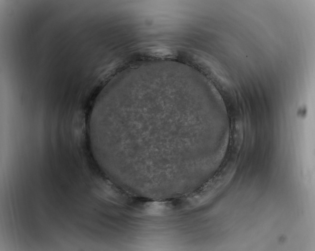 X0000102510320200808221823