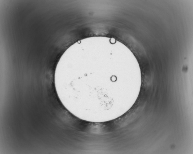 X0000102510321200808221823
