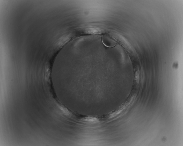 X0000102510322200808221823