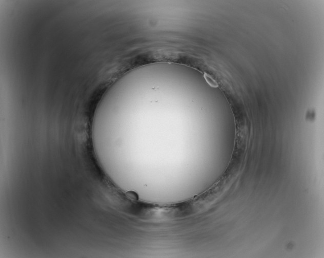 X0000102510323200808221823