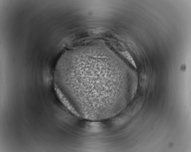 X0000102510324200808221823