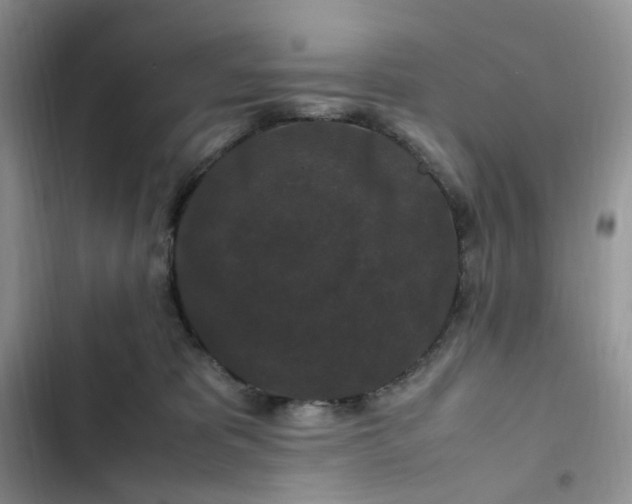 X0000102510325200808221823