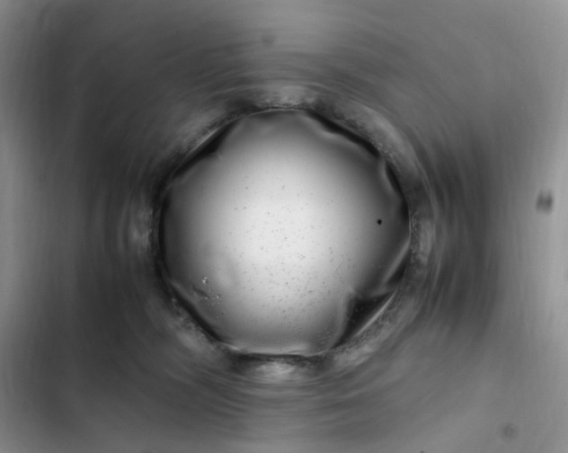 X0000102510326200808221823