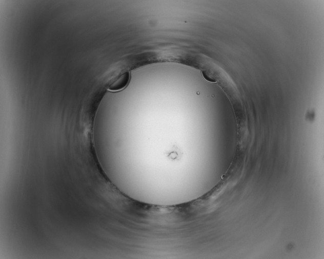 X0000102510329200808221823