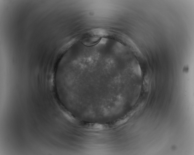 X0000102510330200808221823