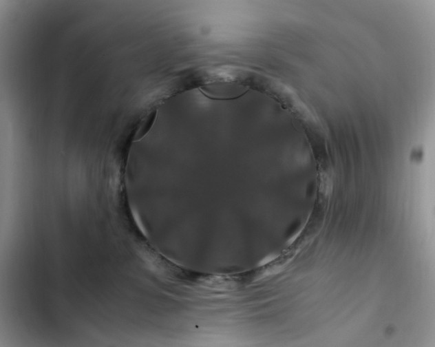 X0000102510331200808221823