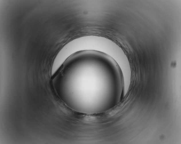 X0000102510332200808221823