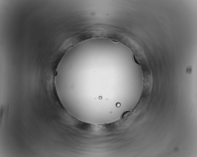X0000102510333200808221823