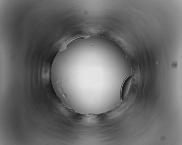X0000102510334200808221823