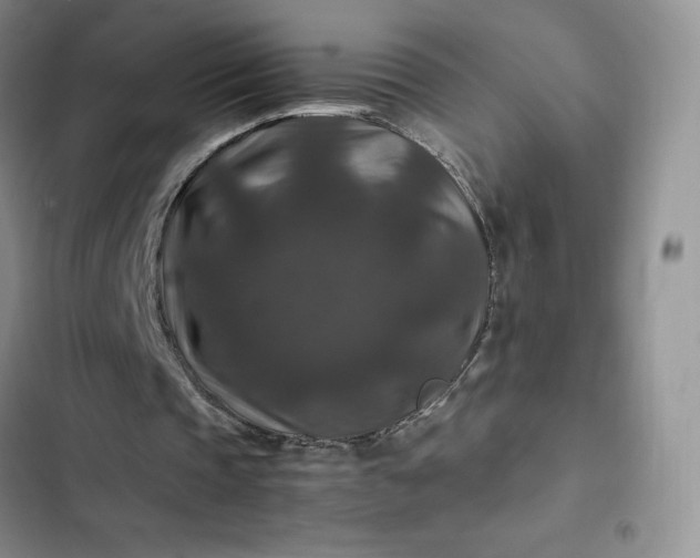 X0000102510337200808221822
