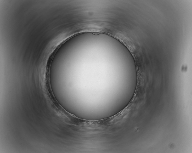 X0000102510338200808221822