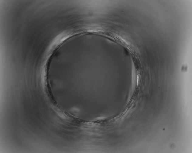 X0000102510339200808221822
