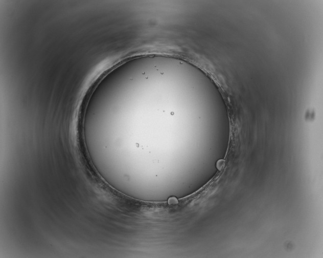 X0000102510340200808221822