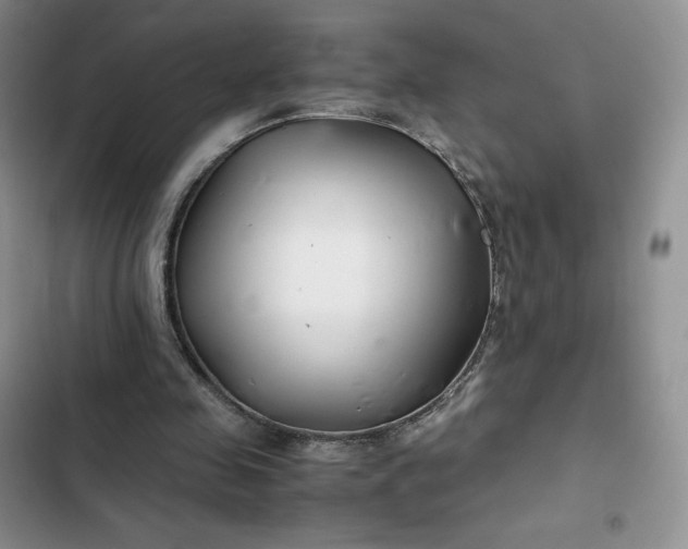 X0000102510341200808221822