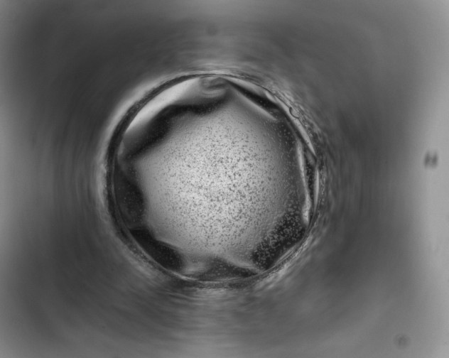 X0000102510342200808221822