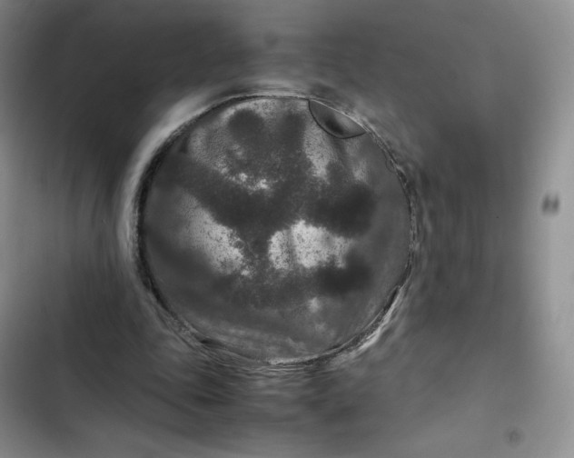 X0000102510343200808221822