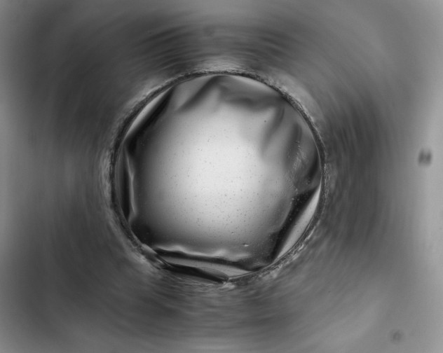 X0000102510345200808221822