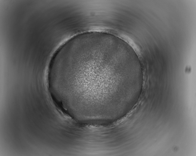 X0000102510346200808221822