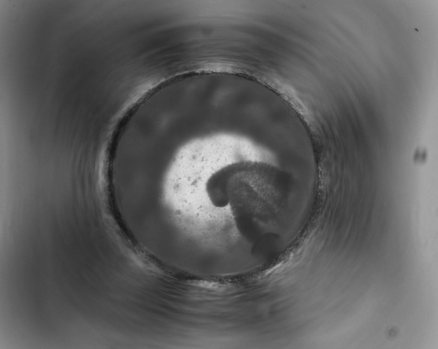 X0000102510347200808221822