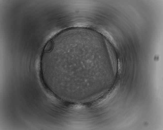 X0000102510348200808221822