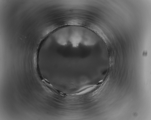 X0000102510349200808221822