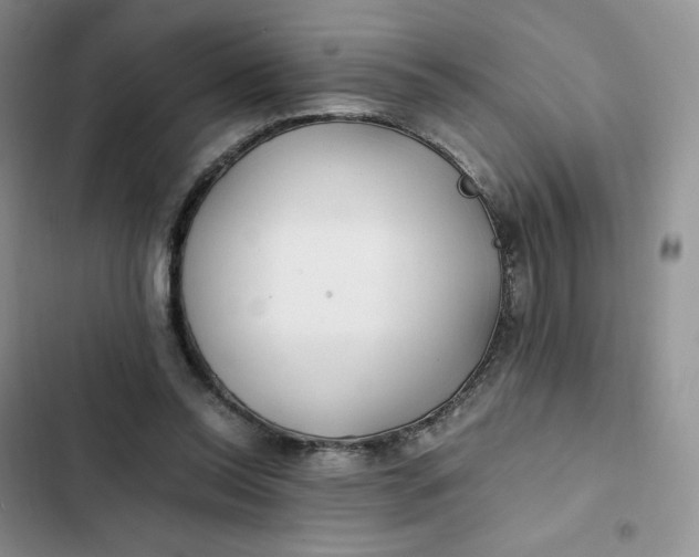 X0000102510350200808221822