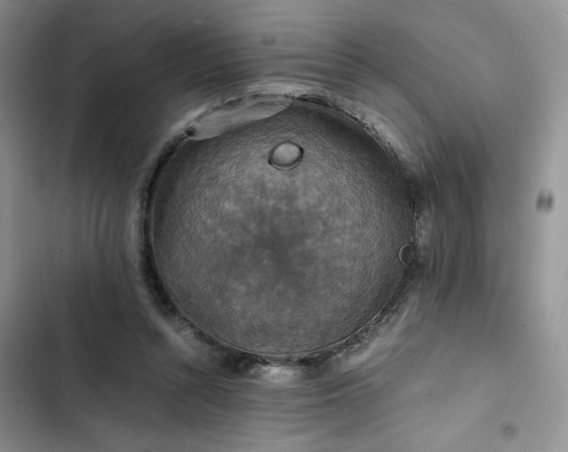 X0000102510352200808221822