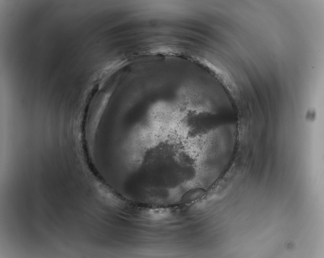 X0000102510353200808221822