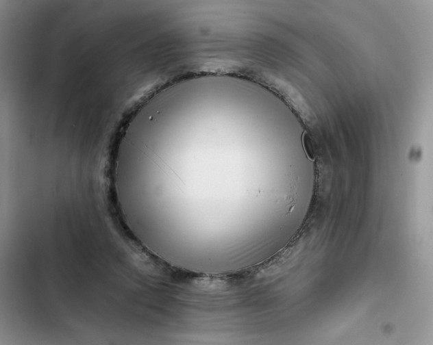 X0000102510354200808221822