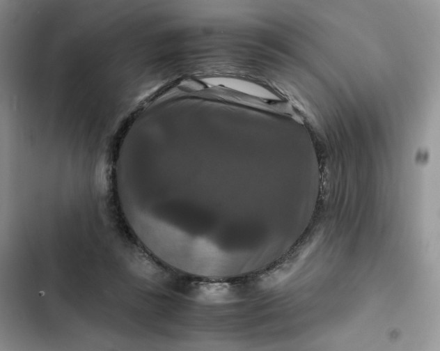 X0000102510355200808221822