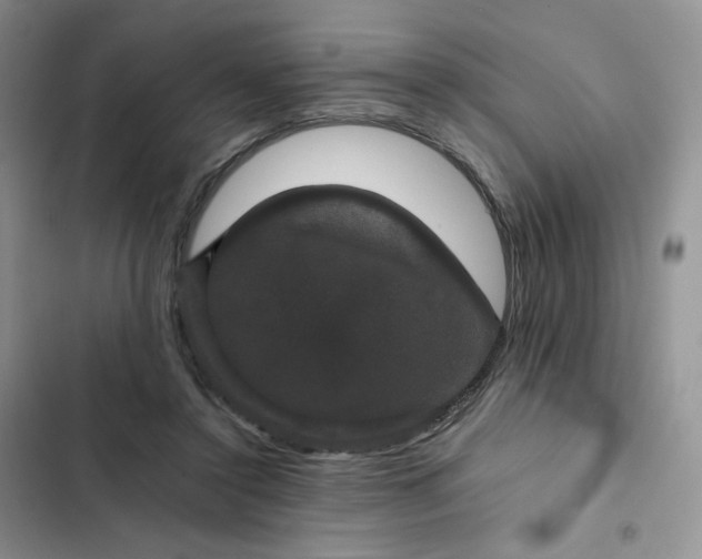X0000102510356200808221823