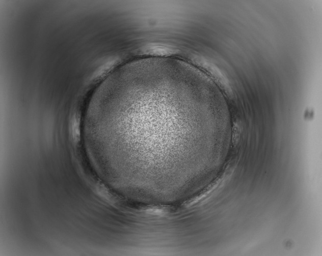 X0000102510358200808221823