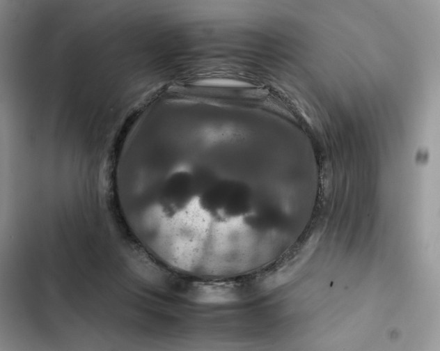 X0000102510359200808221823