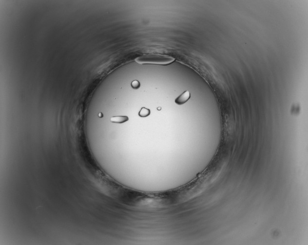 X0000102510364200808221823
