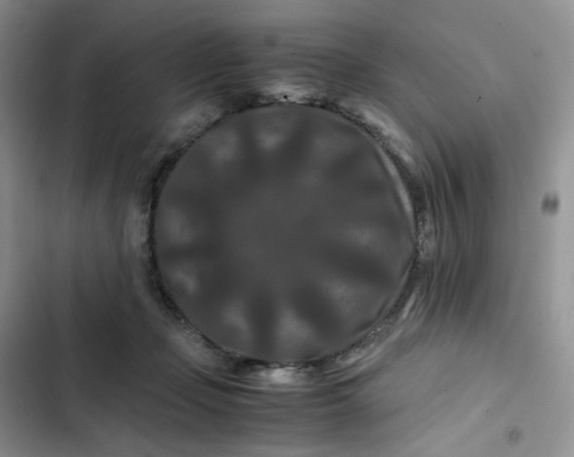 X0000102510365200808221823