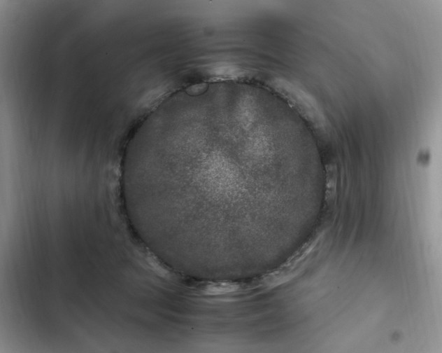 X0000102510369200808221823