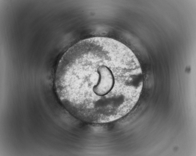 X0000102510370200808221823