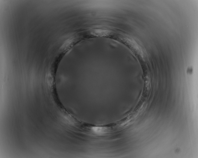 X0000102510371200808221823