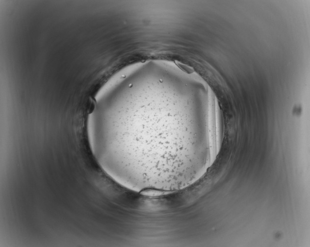 X0000102510372200808221823