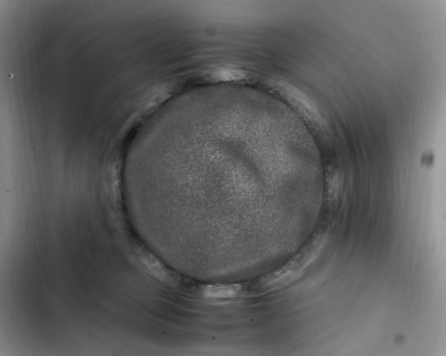 X0000102510373200808221823