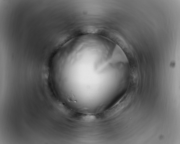 X0000102510374200808221823