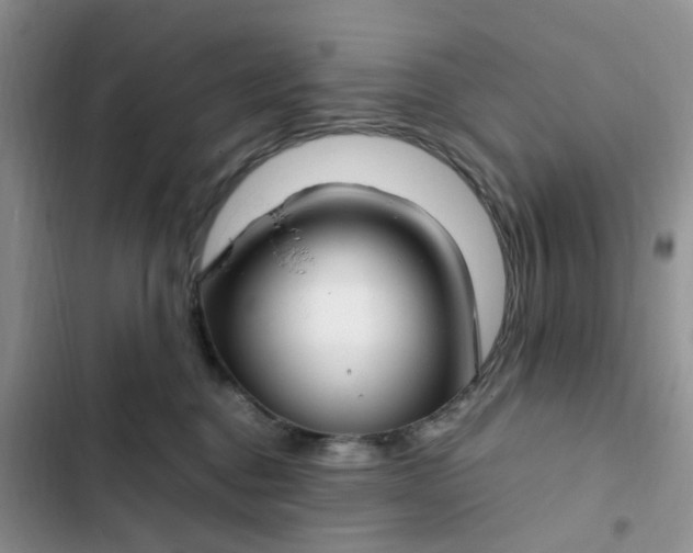 X0000102510376200808221823